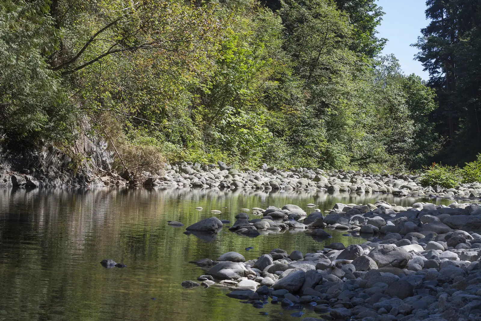 The Capilano River running low and calm past grey boulders, with a rock face and thick green forest on the far bank under a blue sky