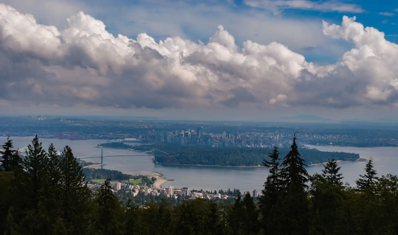 Downtown Vancouver, Stanley Park and the Lions Gate Bridge across Burrard Inlet, seen over treetops from Cypress Mountain above West Vancouver, with large white clouds overhead