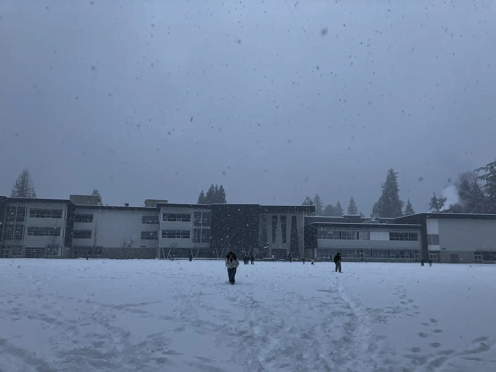 Snow falling on a white playing field in front of the long Handsworth Secondary building, with tall evergreen trees behind it and a few people walking in the distance