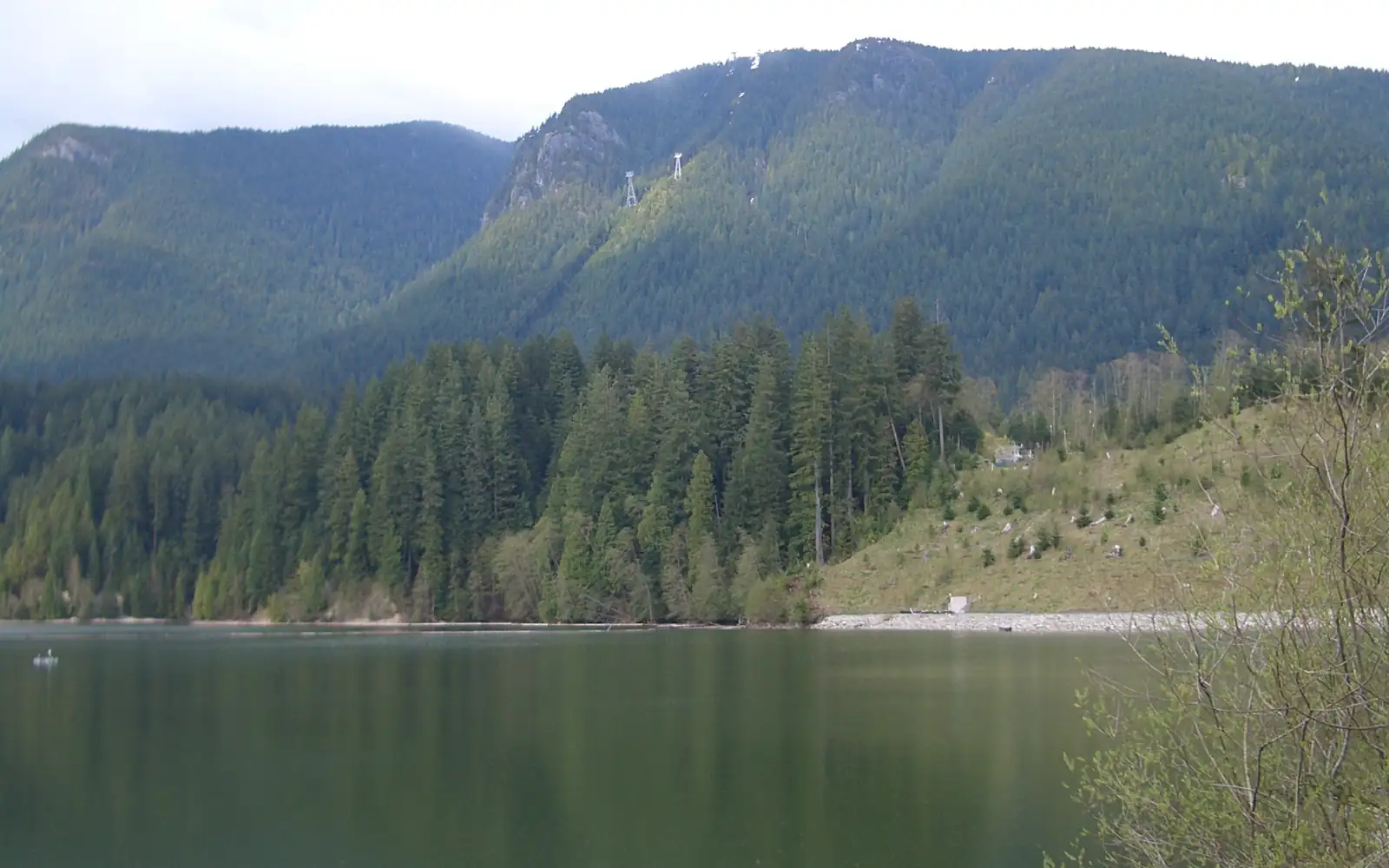 The forested southwest side of Grouse Mountain with two Skyride towers on the slope, seen across Capilano Lake from near the Cleveland Dam