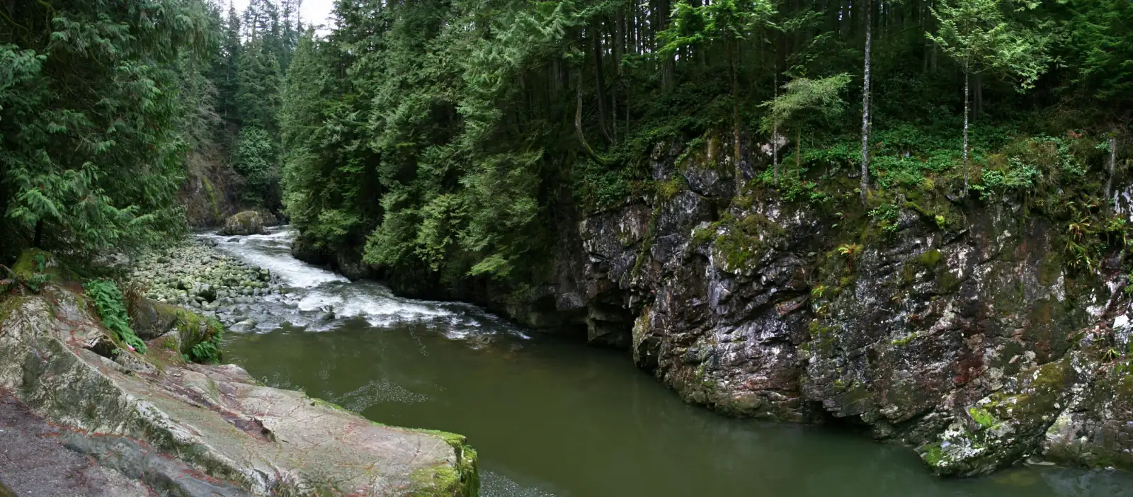 The Capilano River flowing between a mossy rock wall and tall evergreen forest in Capilano River Regional Park