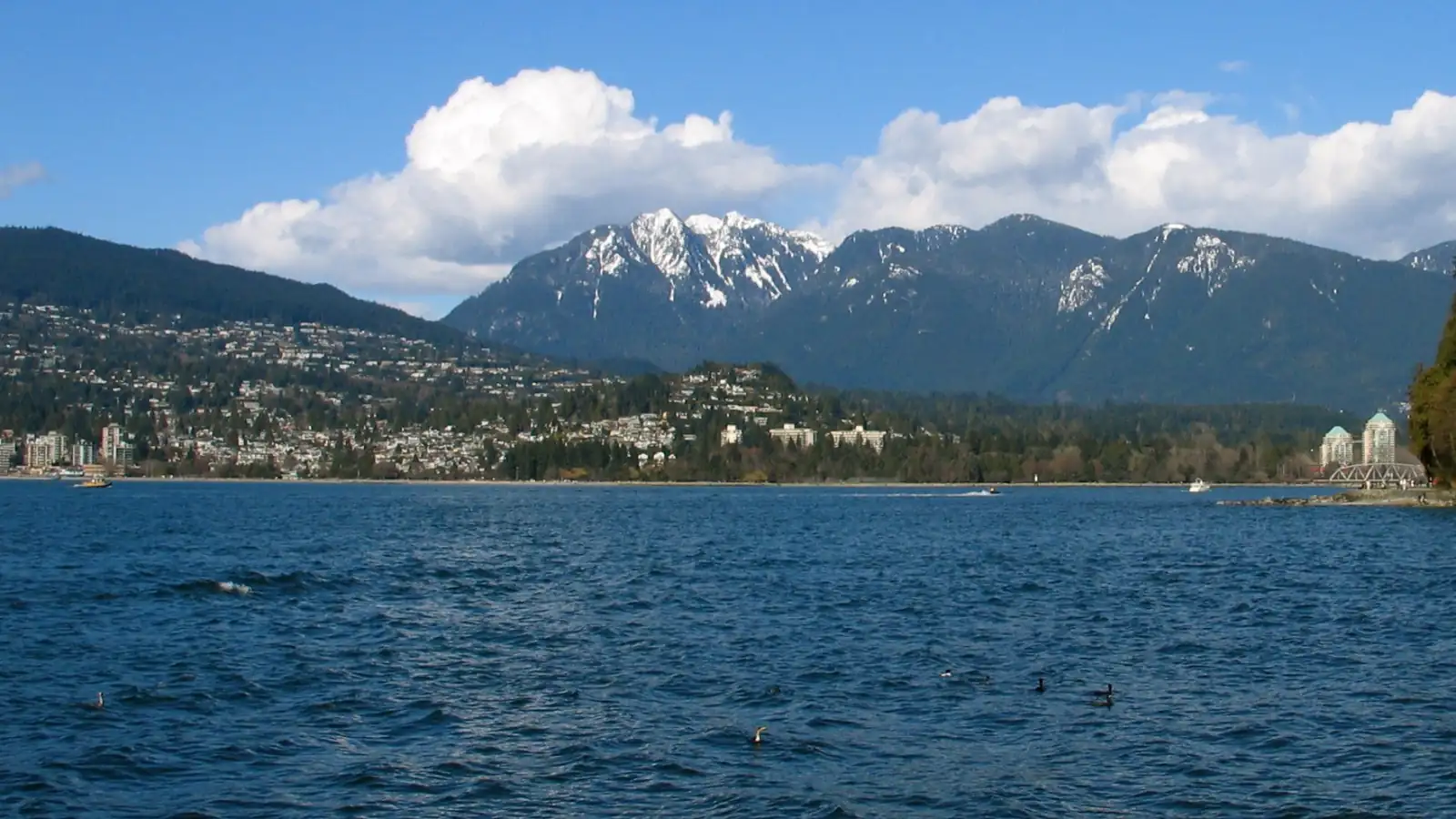 A low rounded hill covered with houses and trees above the West Vancouver shoreline, seen across the water from Stanley Park, with apartment towers to the left and snow on the mountains behind